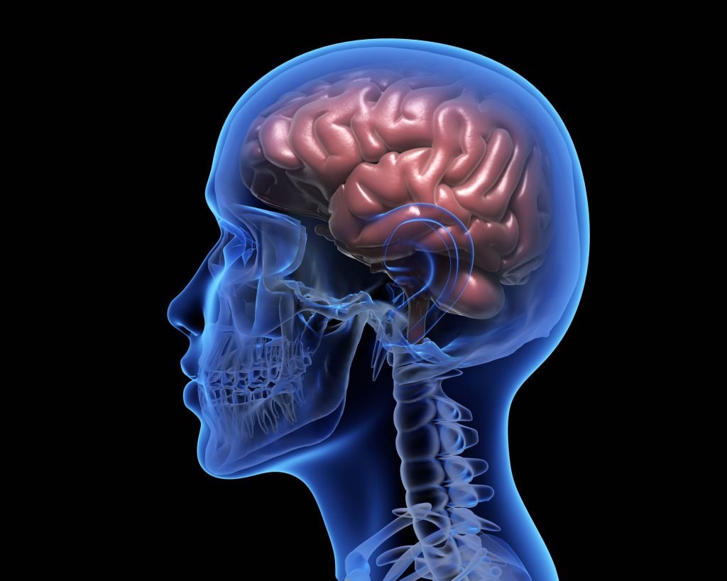 Human brain.